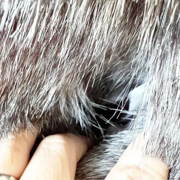 Rachel Zoe Gray Faux Fur Vest Size Medium Luxe‎ Fashion - Picture 6 of 6